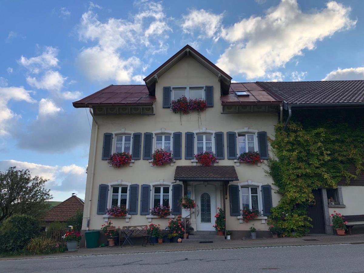 Ferienwohnung Haus Sutter 쇼프하임 외부 사진